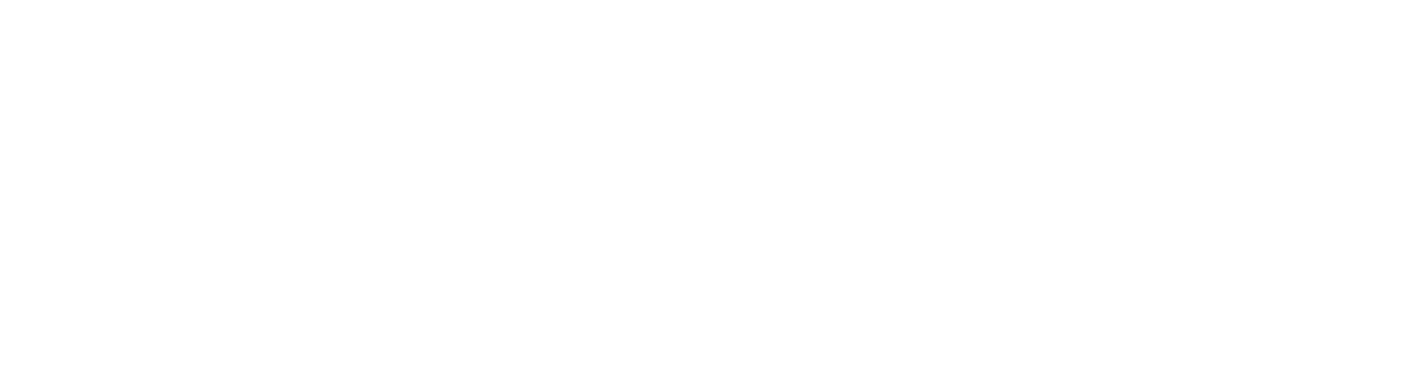 Simpaisa white logo